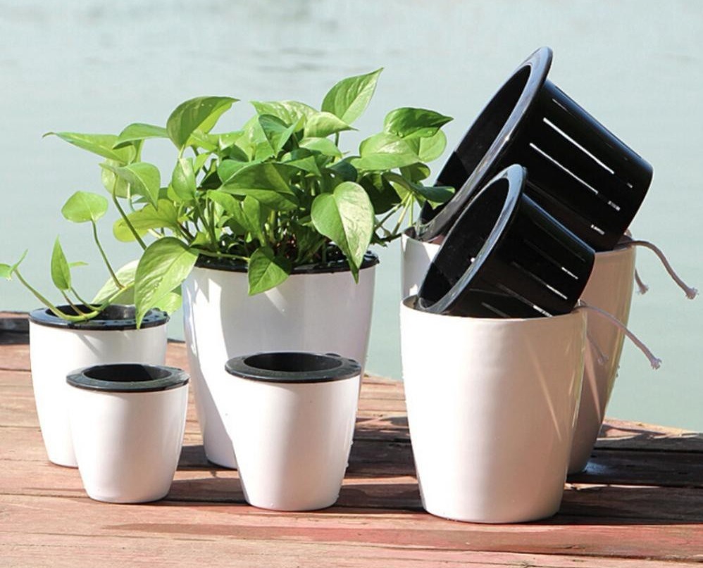 Ưu Và Nhược Điểm Của Chậu Trồng Cây Thông Minh Tự Tưới Nước 11 Chậu Tự Tưới Thường Có Dạng Một Chậu Đơn Hoặc Chậu Kép (2 Khoang)